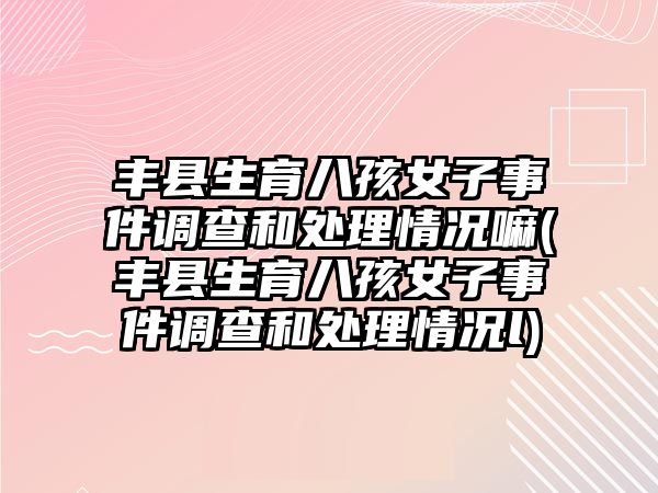 豐縣生育八孩女子事件調查和處理情況嘛(豐縣生育八孩女子事件調查和處理情況l)