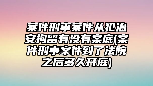 案件刑事案件從犯治安拘留有沒有案底(案件刑事案件到了法院之后多久開庭)