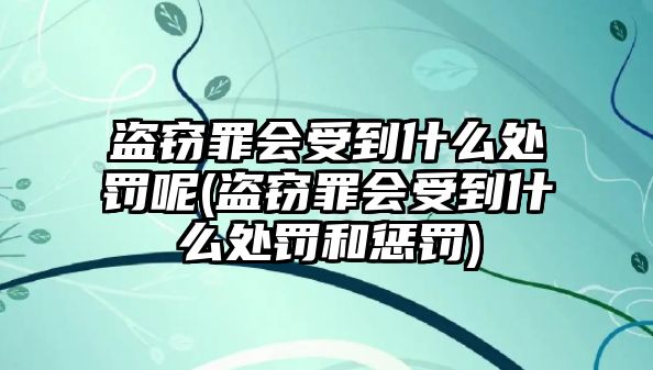 盜竊罪會受到什么處罰呢(盜竊罪會受到什么處罰和懲罰)