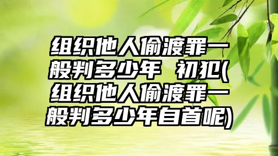 組織他人偷渡罪一般判多少年 初犯(組織他人偷渡罪一般判多少年自首呢)