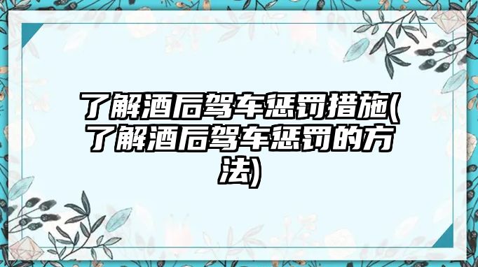 了解酒后駕車懲罰措施(了解酒后駕車懲罰的方法)