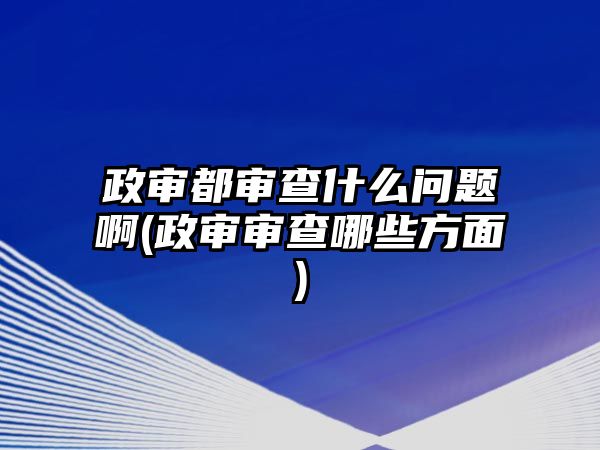 政審都審查什么問題啊(政審審查哪些方面)