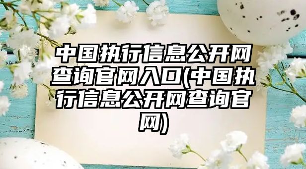 中國執行信息公開網查詢官網入口(中國執行信息公開網查詢官網)