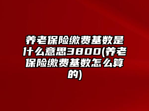 養(yǎng)老保險繳費基數(shù)是什么意思3800(養(yǎng)老保險繳費基數(shù)怎么算的)