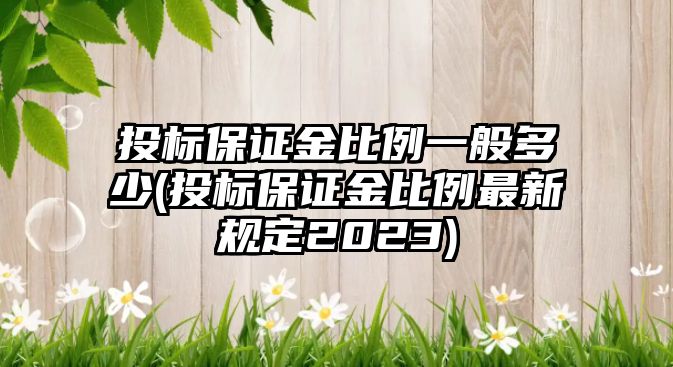 投標保證金比例一般多少(投標保證金比例最新規定2023)