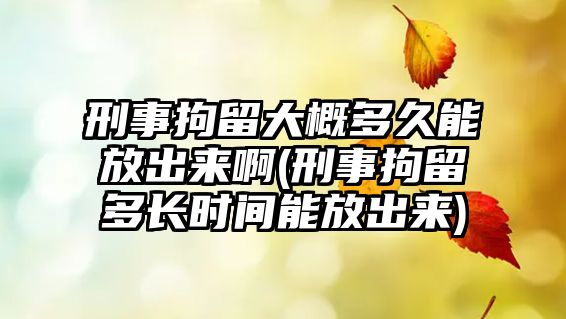 刑事拘留大概多久能放出來啊(刑事拘留多長時間能放出來)