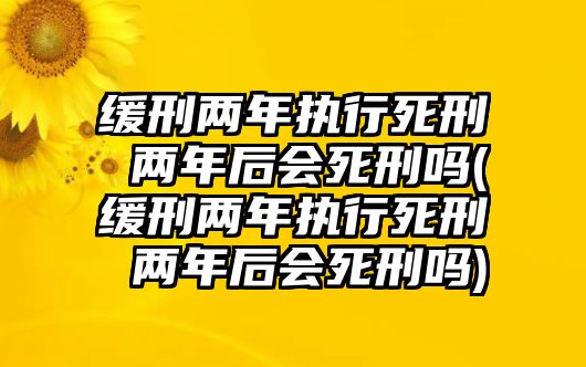 緩刑兩年執行死刑 兩年后會死刑嗎(緩刑兩年執行死刑 兩年后會死刑嗎)