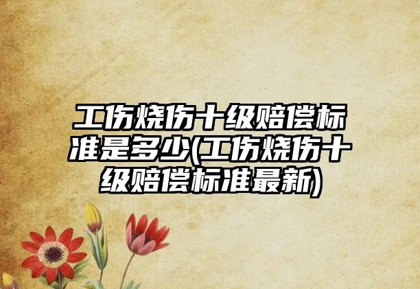 工傷燒傷十級賠償標準是多少(工傷燒傷十級賠償標準最新)