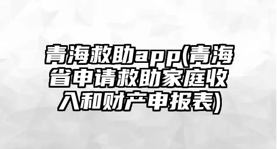 青海救助app(青海省申請救助家庭收入和財產(chǎn)申報表)