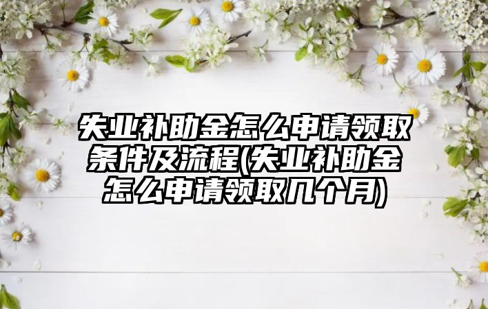 失業(yè)補助金怎么申請領取條件及流程(失業(yè)補助金怎么申請領取幾個月)