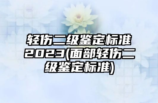 輕傷二級鑒定標準2023(面部輕傷二級鑒定標準)