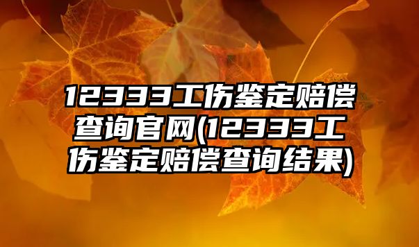 12333工傷鑒定賠償查詢官網(12333工傷鑒定賠償查詢結果)