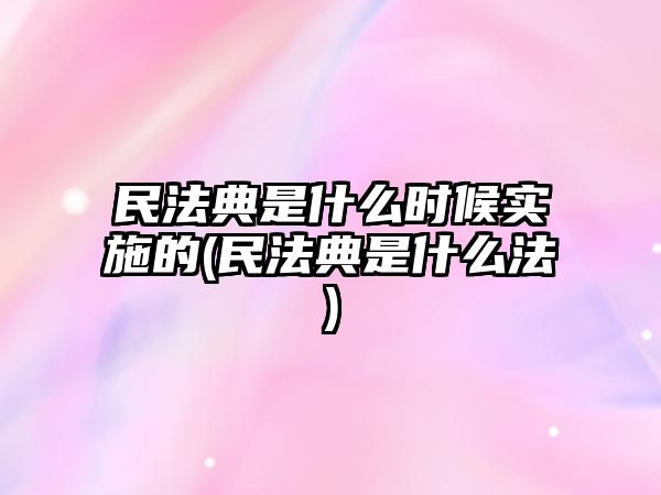 民法典是什么時候實施的(民法典是什么法)