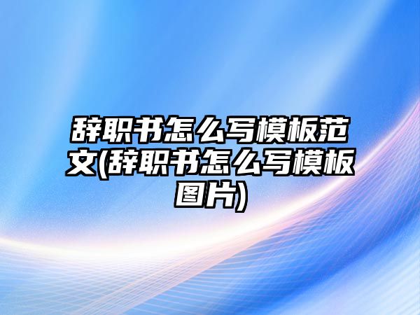 辭職書怎么寫模板范文(辭職書怎么寫模板圖片)