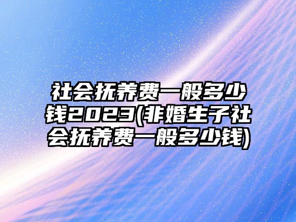 社會(huì)撫養(yǎng)費(fèi)一般多少錢(qián)2023(非婚生子社會(huì)撫養(yǎng)費(fèi)一般多少錢(qián))