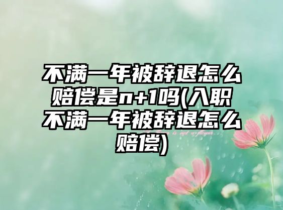 不滿一年被辭退怎么賠償是n+1嗎(入職不滿一年被辭退怎么賠償)