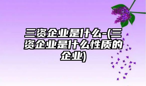 三資企業(yè)是什么-(三資企業(yè)是什么性質的企業(yè))