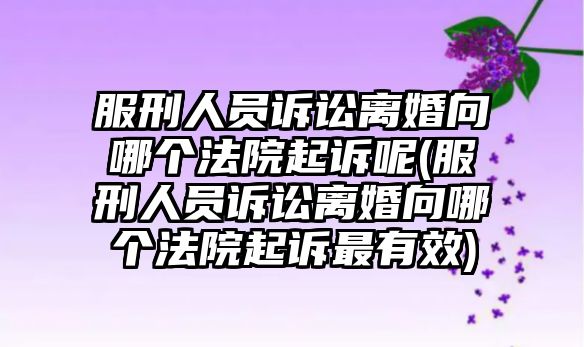 服刑人員訴訟離婚向哪個(gè)法院起訴呢(服刑人員訴訟離婚向哪個(gè)法院起訴最有效)