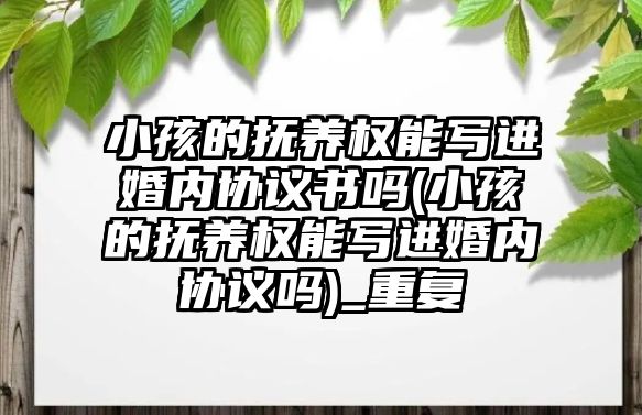 小孩的撫養權能寫進婚內協議書嗎(小孩的撫養權能寫進婚內協議嗎)_重復