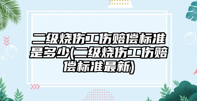 二級燒傷工傷賠償標準是多少(二級燒傷工傷賠償標準最新)