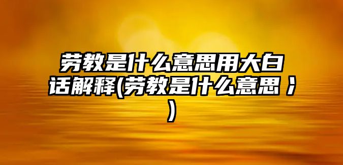 勞教是什么意思用大白話解釋(勞教是什么意思冫)