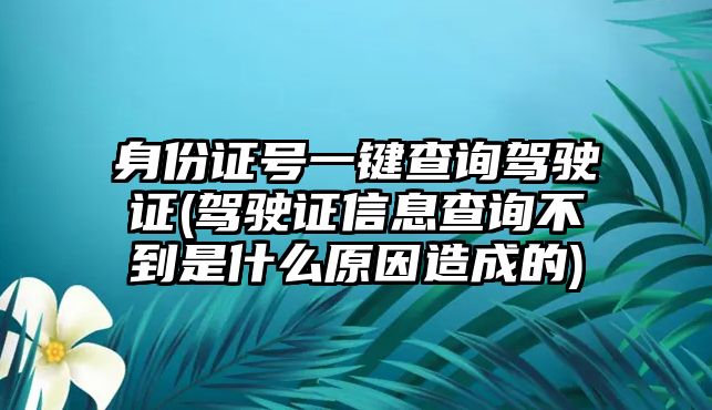 身份證號一鍵查詢駕駛證(駕駛證信息查詢不到是什么原因造成的)