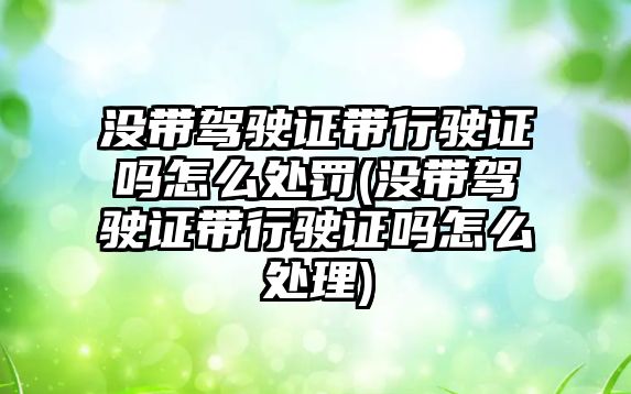 沒帶駕駛證帶行駛證嗎怎么處罰(沒帶駕駛證帶行駛證嗎怎么處理)