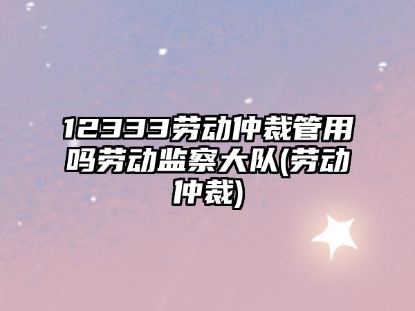 12333勞動仲裁管用嗎勞動監察大隊(勞動仲裁)