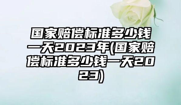 國家賠償標準多少錢一天2023年(國家賠償標準多少錢一天2023)