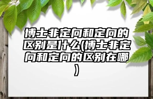 博士非定向和定向的區(qū)別是什么(博士非定向和定向的區(qū)別在哪)