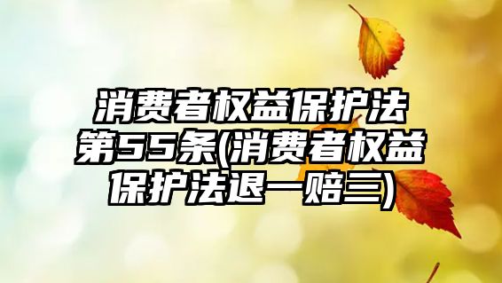 消費者權益保護法第55條(消費者權益保護法退一賠三)