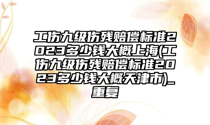 工傷九級傷殘賠償標準2023多少錢大概上海(工傷九級傷殘賠償標準2023多少錢大概天津市)_重復