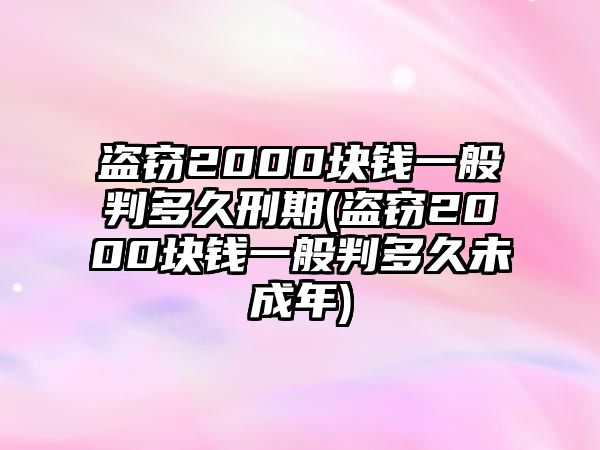 盜竊2000塊錢一般判多久刑期(盜竊2000塊錢一般判多久未成年)