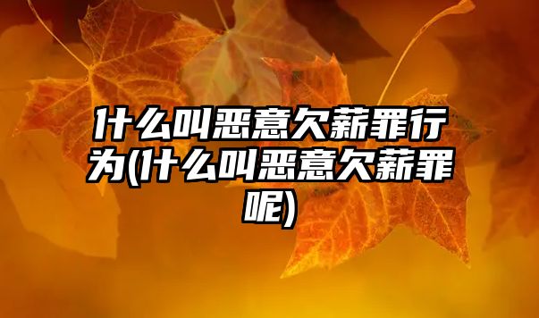 什么叫惡意欠薪罪行為(什么叫惡意欠薪罪呢)