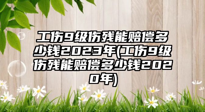 工傷9級傷殘能賠償多少錢2023年(工傷9級傷殘能賠償多少錢2020年)