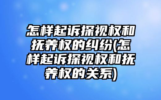 怎樣起訴探視權和撫養權的糾紛(怎樣起訴探視權和撫養權的關系)