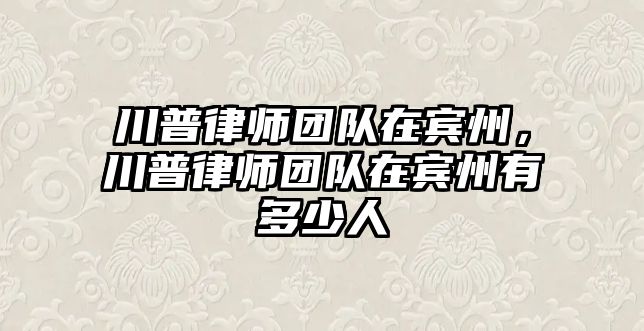 川普律師團隊在賓州，川普律師團隊在賓州有多少人