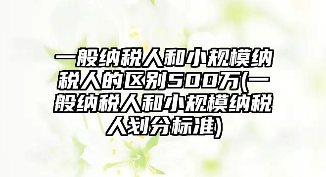 一般納稅人和小規模納稅人的區別500萬(一般納稅人和小規模納稅人劃分標準)