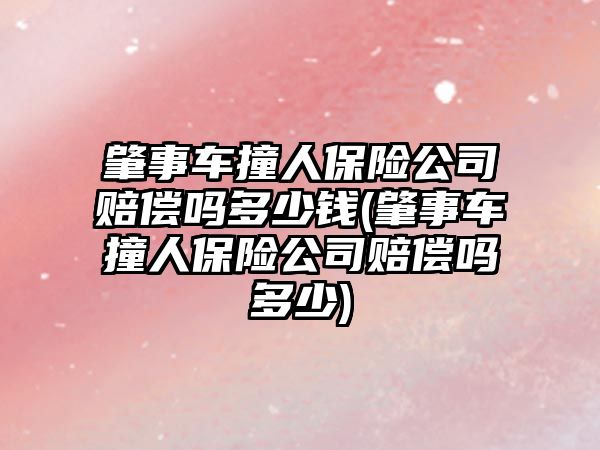 肇事車撞人保險公司賠償嗎多少錢(肇事車撞人保險公司賠償嗎多少)