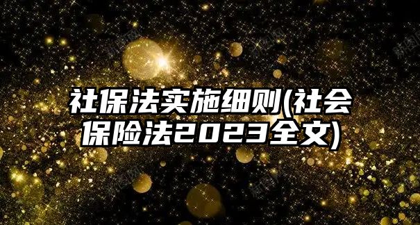 社保法實施細則(社會保險法2023全文)