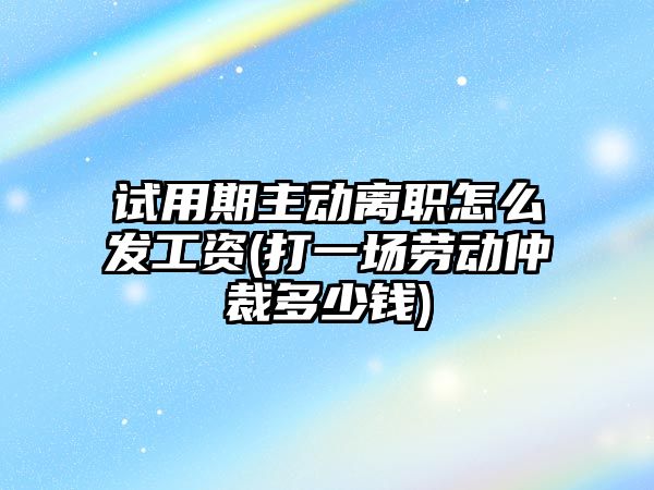 試用期主動離職怎么發(fā)工資(打一場勞動仲裁多少錢)