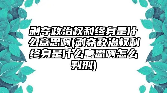 剝奪政治權利終身是什么意思啊(剝奪政治權利終身是什么意思啊怎么判刑)