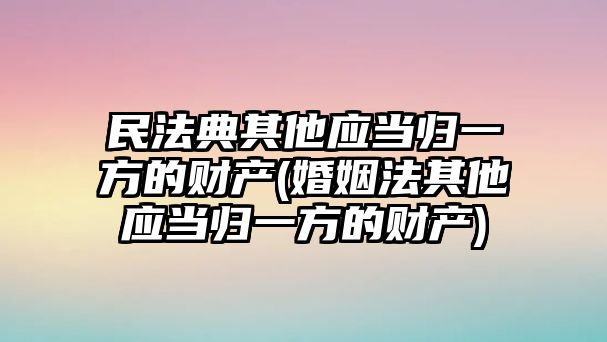 民法典其他應當歸一方的財產(婚姻法其他應當歸一方的財產)