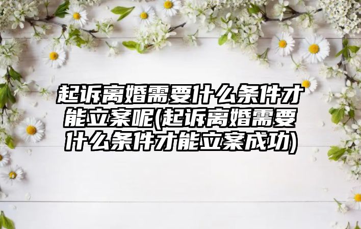 起訴離婚需要什么條件才能立案呢(起訴離婚需要什么條件才能立案成功)