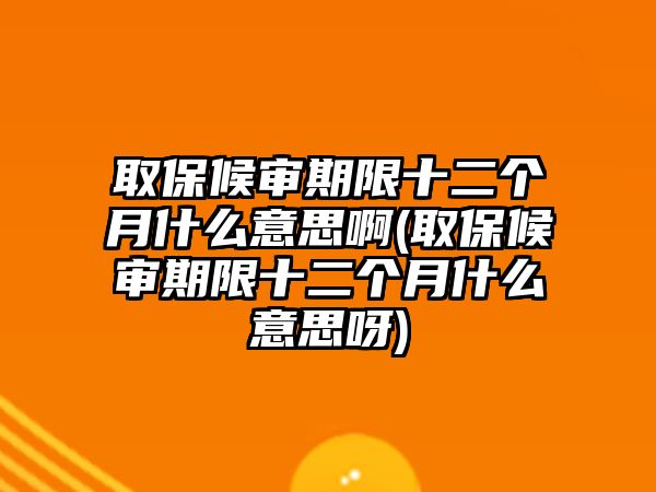 取保候審期限十二個月什么意思啊(取保候審期限十二個月什么意思呀)