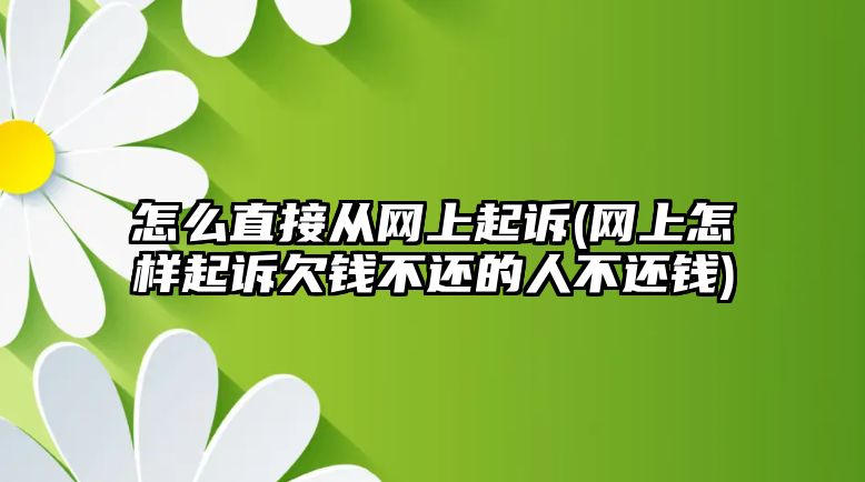 怎么直接從網(wǎng)上起訴(網(wǎng)上怎樣起訴欠錢不還的人不還錢)