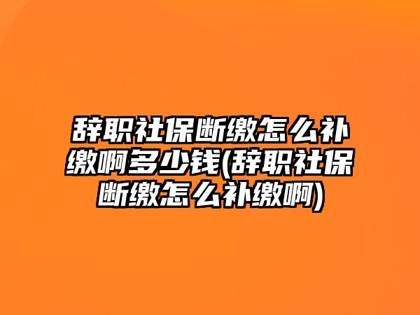 辭職社保斷繳怎么補繳啊多少錢(辭職社保斷繳怎么補繳啊)