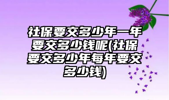 社保要交多少年一年要交多少錢呢(社保要交多少年每年要交多少錢)