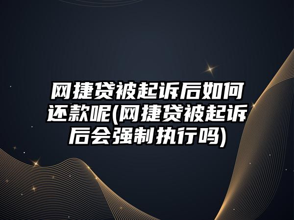 網捷貸被起訴后如何還款呢(網捷貸被起訴后會強制執行嗎)