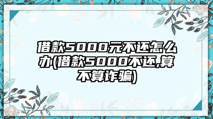 借款5000元不還怎么辦(借款5000不還,算不算詐騙)